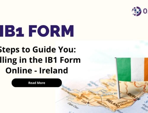 IB1 FORM IRELAND – HOW TO FILL IN IB1 FORM ONLINE